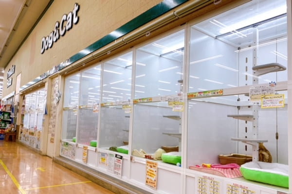 エバーペット野田店