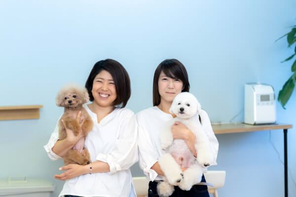 DOG SALON CHI-MEY（ちーみー）