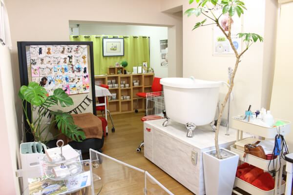 太陽の塩せっけんトリミングサロン Sunny Dog Villa EBISU_1