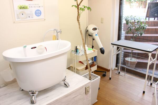 太陽の塩せっけんトリミングサロン Sunny Dog Villa EBISU_4