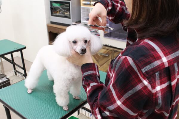 キティボックス_こだわり_3