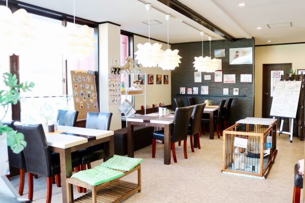 Marie’s Dog Cafe_4