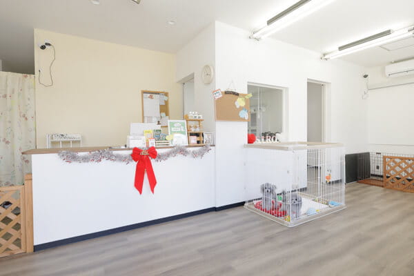 grooming salon NICO-STANDARD_1