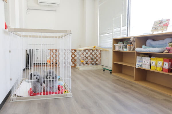 grooming salon NICO-STANDARD_2