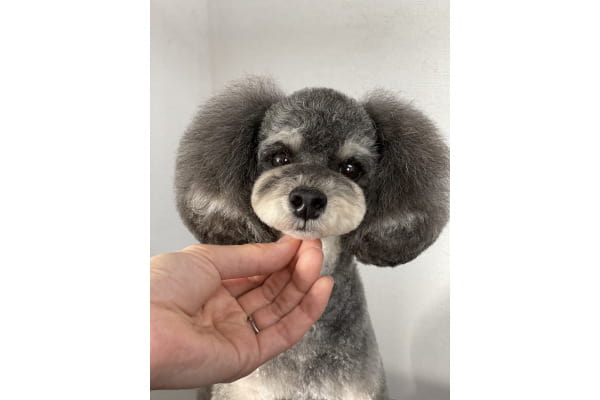 care salon f＆.dog_3