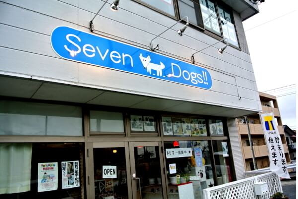 Seven Dogs!!_1