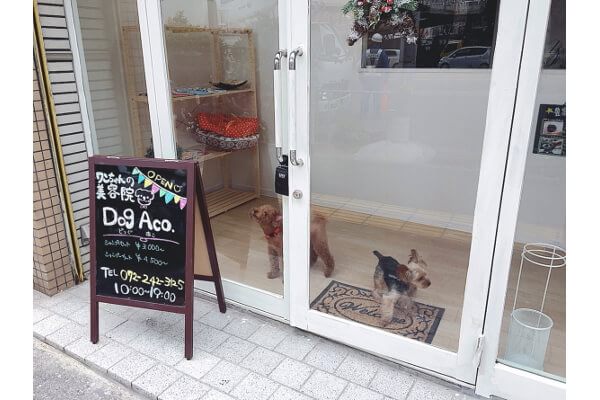 Dog Aco_こだわり_1