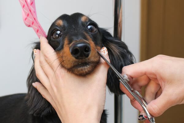 Trimming Salon Pono_こだわり_1