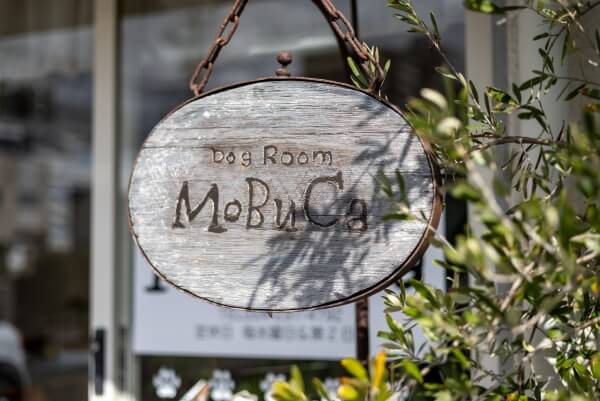 Dog Room MoBuCa