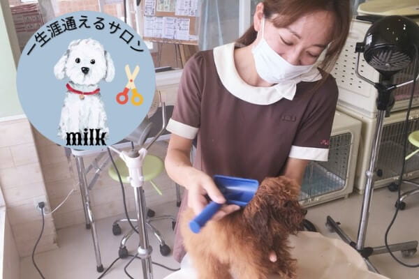 MILK 袋井店_1