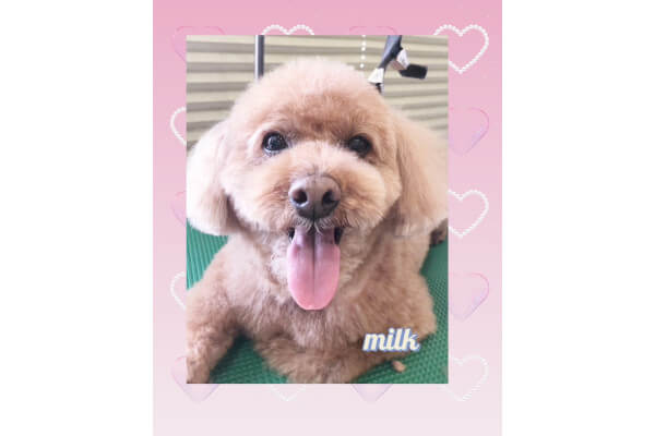 MILK 袋井店_3