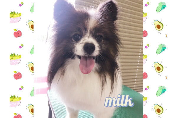 MILK 袋井店_4