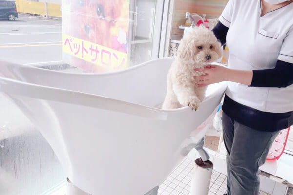 MILK 磐田店