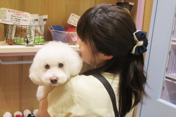 LUXBE DOG 三田駅前店_こだわり_3