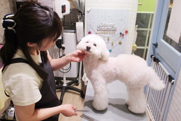 LUXBE DOG 三田駅前店_3