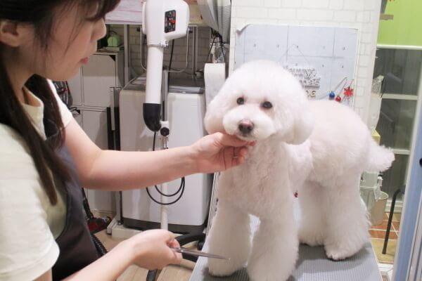 LUXBE DOG 三田駅前店_4