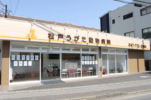 松戸うがた動物病院(トリミング)