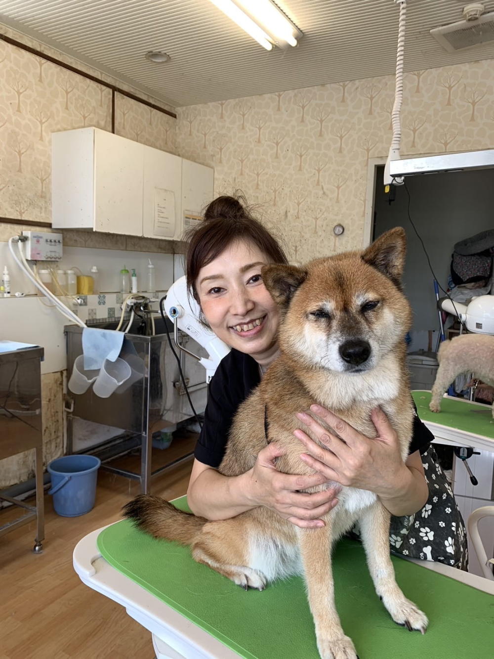 ペピカ ユーカリが丘店_1