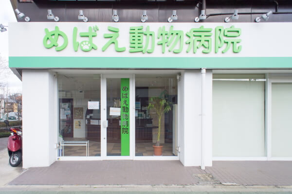 めばえ動物病院（トリミング）