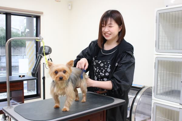 ペピカ 古ヶ崎店_こだわり_2