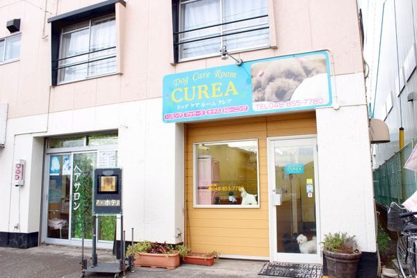 Dog Care Room CUREA