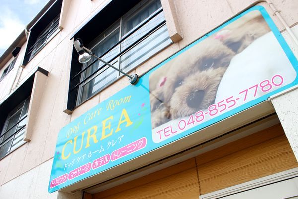 Dog Care Room CUREA_1