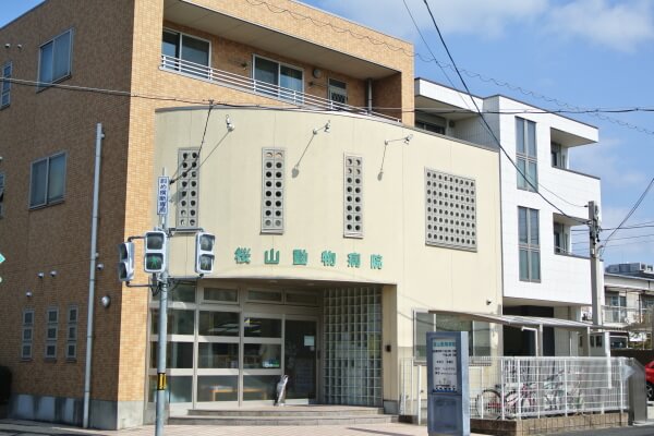 桜山動物病院(トリミング)