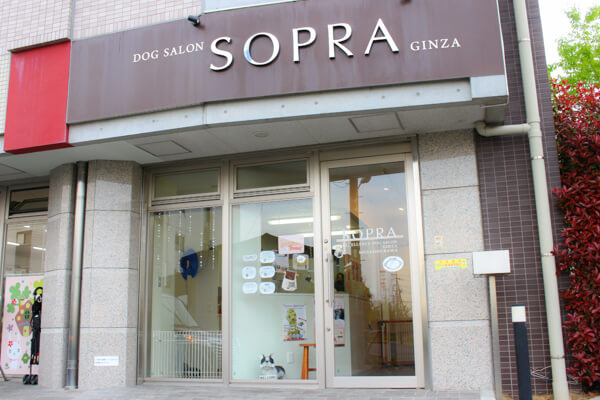 SOPRA GINZA 武蔵浦和店