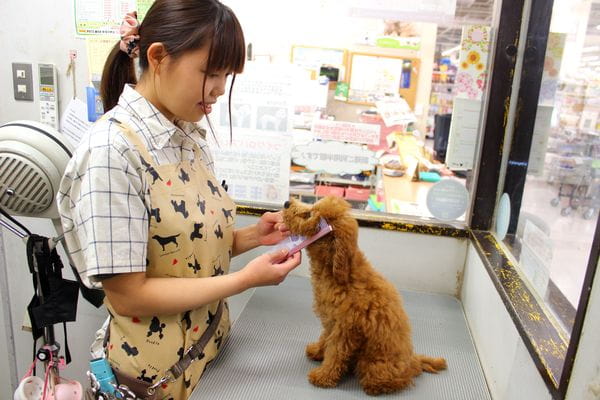 ペッツマックス新習志野店_こだわり_1