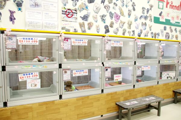 ペッツマックス町田多摩境店_3