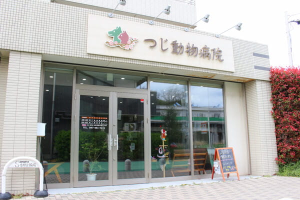 つじ動物病院(トリミング)