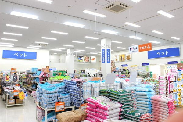 ペッツマックス湘南藤沢店_2