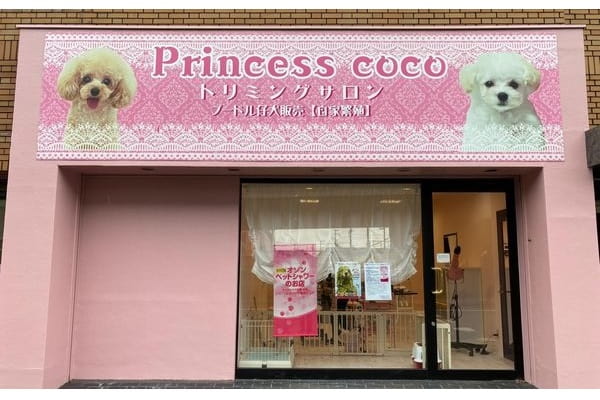 Princess coco