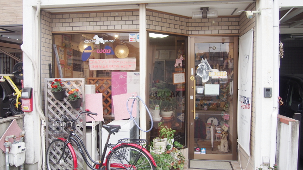 dog salon wan
