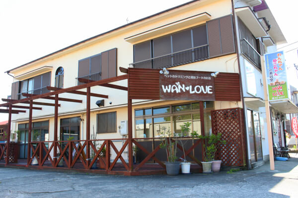 WANLOVE