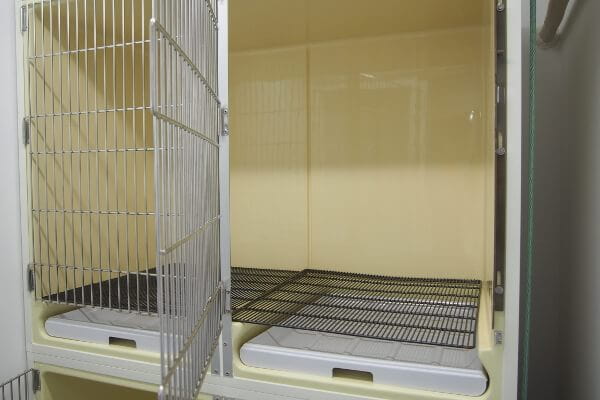 茨木元町どうぶつ病院(トリミング)_こだわり_3