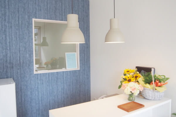 PET SALON LIRA