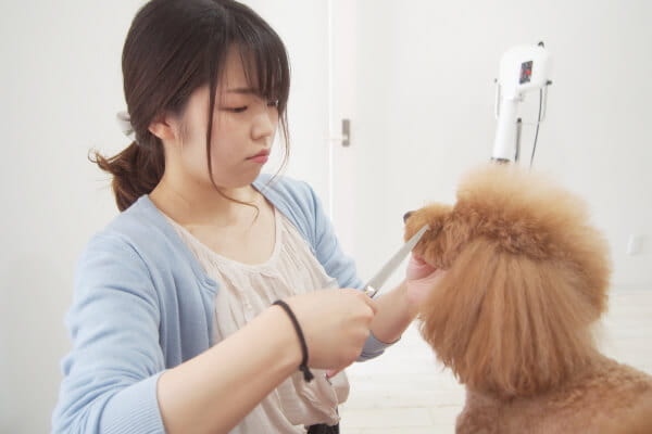 PET SALON LIRA_2