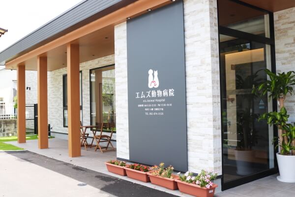 エムズ動物病院_18