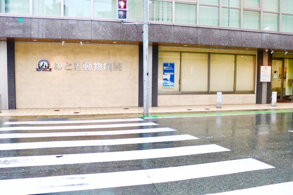 めとき動物病院_9