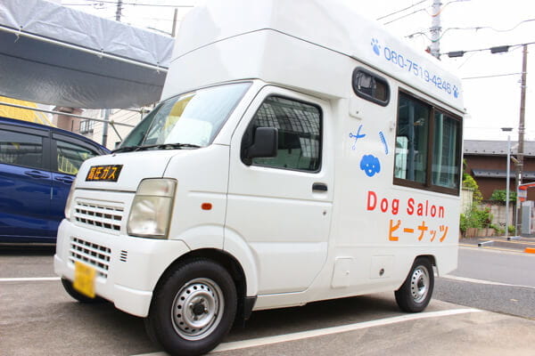DogSalon ピーナッツ