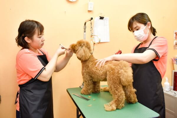 Dog salon Calla lily_こだわり_2
