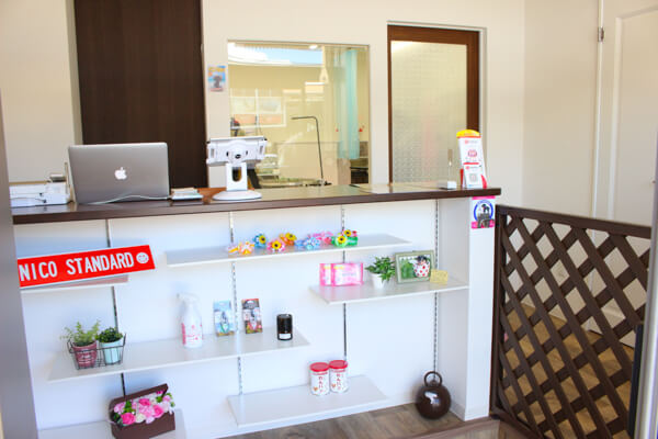 grooming salon NICO STANDARD_2