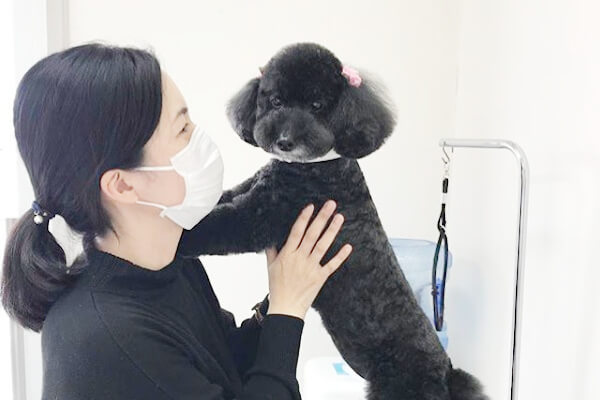 犬の美容室ペーパームーン_3