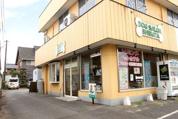 DOGサロンAIAIシバタ