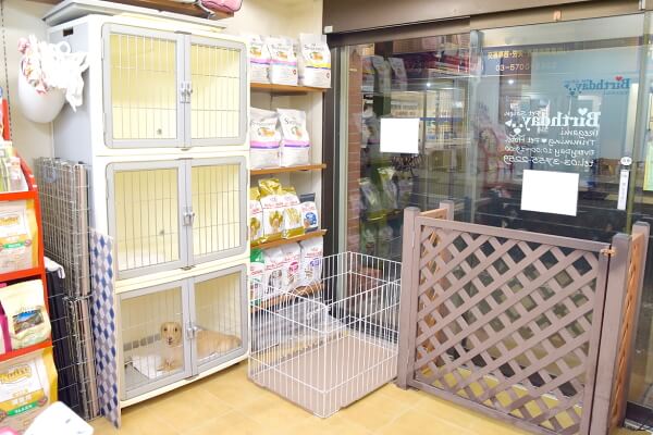 ペットサロンバースデイ池上店_4
