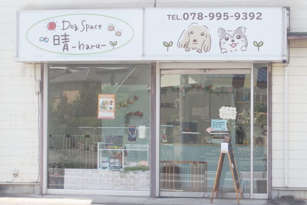 Dog space 晴 -haru-