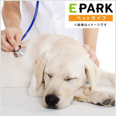 アキ動物病院