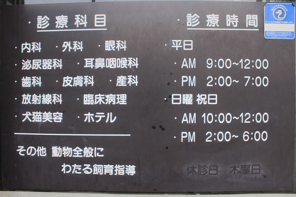 アキ動物病院_6