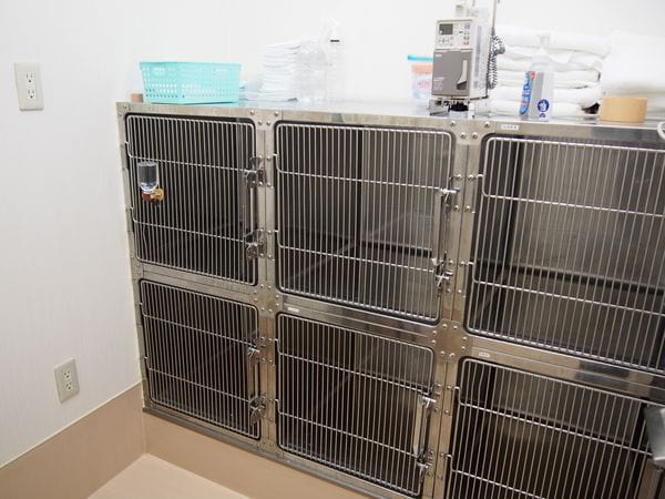 ひろ動物病院_7